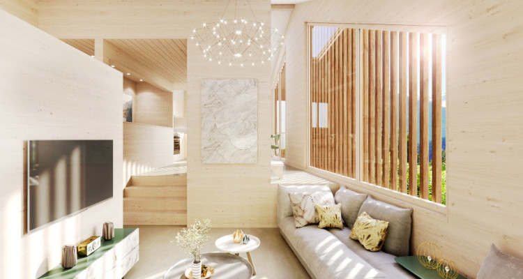 MAISON VILLAGEOISE ÉCOLOGIQUE, JARDIN, CAVE, PARKING, EN COURS DE CONSTRUCTION image 6