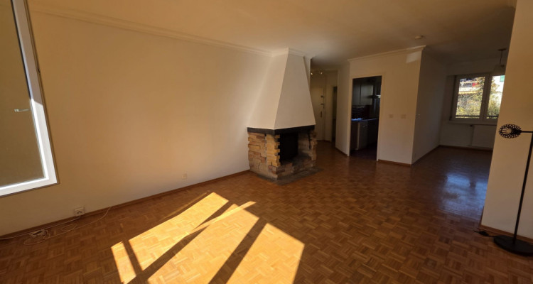 COLLONGE-BELLERIVE – APPARTEMENT TRAVERSANT DE 4 PIÈCES AVEC CHEMINÉE  image 1