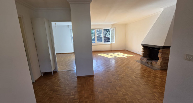 COLLONGE-BELLERIVE – APPARTEMENT TRAVERSANT DE 4 PIÈCES AVEC CHEMINÉE  image 11