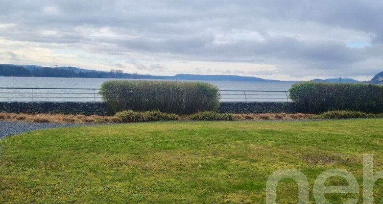 Reihenmittelhaus am Bielersee mit Seewiese zur Mitbenutzung image 12