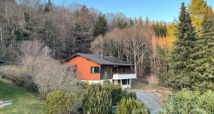 Grande maison individuelle nichée dans un écrin de verdure image 1