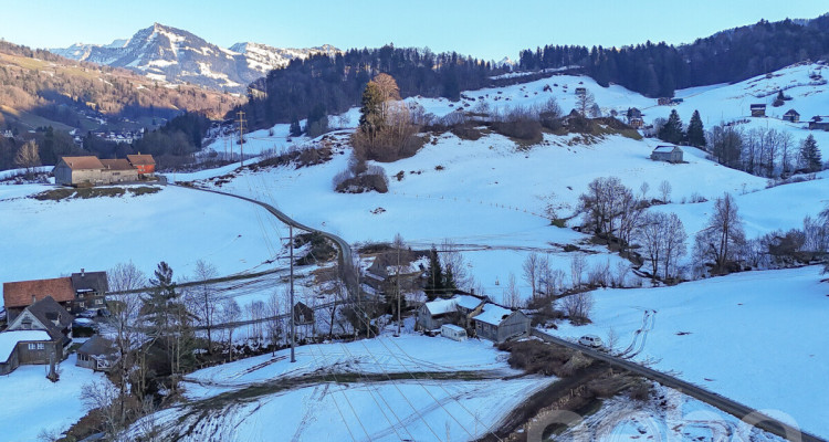 Bewilligtes Neubauprojekt Wohnen am Bach - Gestalten Sie Ihr Traumhaus image 2