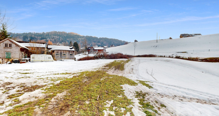 Bewilligtes Neubauprojekt Wohnen am Bach - Gestalten Sie Ihr Traumhaus image 3