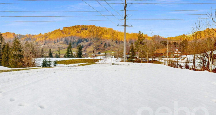 Bewilligtes Neubauprojekt Wohnen am Bach - Gestalten Sie Ihr Traumhaus image 4