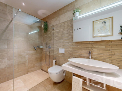 Gartenwohnung mit Seesicht image 9