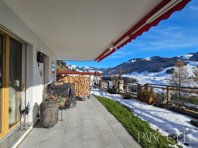 appartement 3.5 pièces avec jardin privatif - belle vue image 9