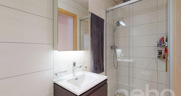 Magnifique appartement à Fontaines image 11