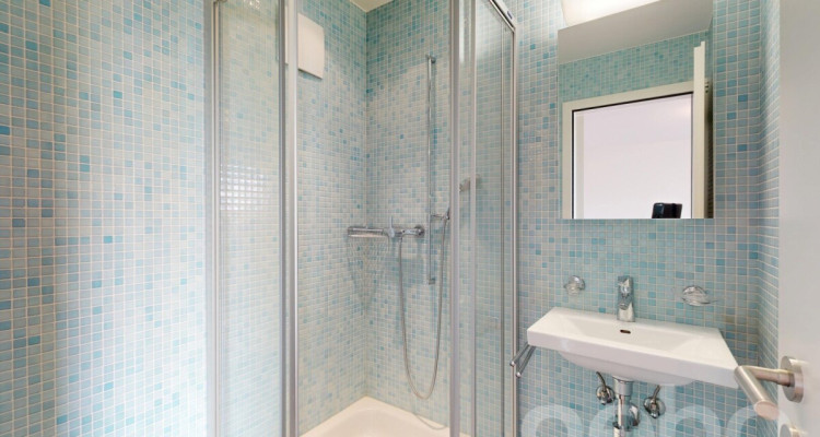 Appartement lumineux avec double salle de bains ? Situation idéale image 8