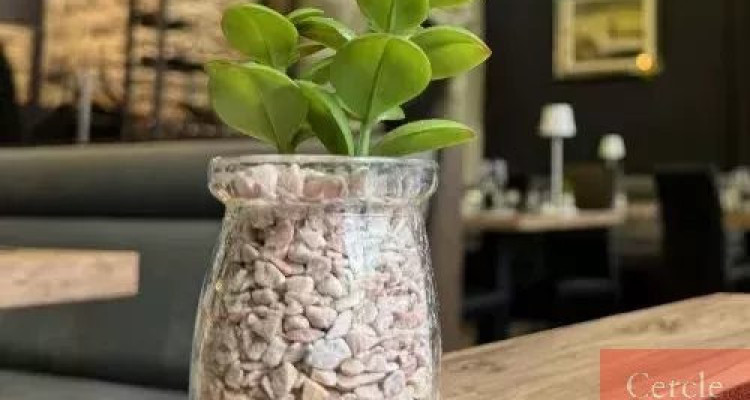 Rare à la vente : Restaurant clé en main au coeur de Genève image 2