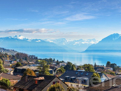 Bien d?exception à Pully : duplex spacieux avec vue imprenable image 1