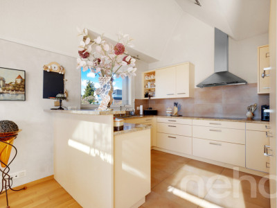 Bien d?exception à Pully : duplex spacieux avec vue imprenable image 8