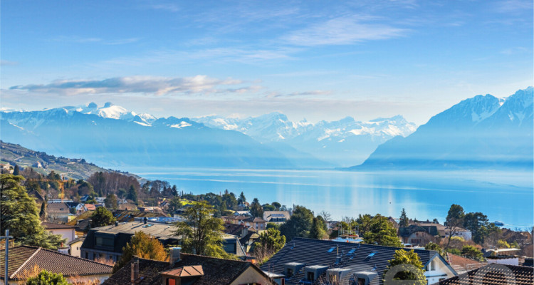 Bien d?exception à Pully : duplex spacieux avec vue imprenable image 1