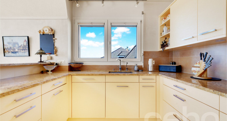 Bien d?exception à Pully : duplex spacieux avec vue imprenable image 9