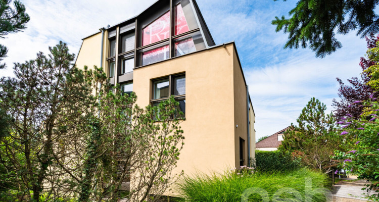 Exklusive Attika mit Einliegerwohnung und Dachterrasse image 12