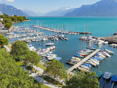 OBJET RARE A LA TOUR-DE-PEILZ image 6