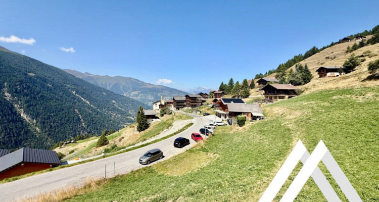 PARCELLE 4104 M2 ! POSSIBILITÉ DE CONSTRUIRE 5 CHALETS, EISON image 1