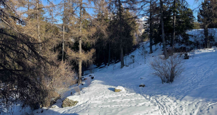 Appartement de 3.5 pièces neuf à louer à VercorinAppartement Situation dominanteAppartement Bella Lui n° 181 image 8