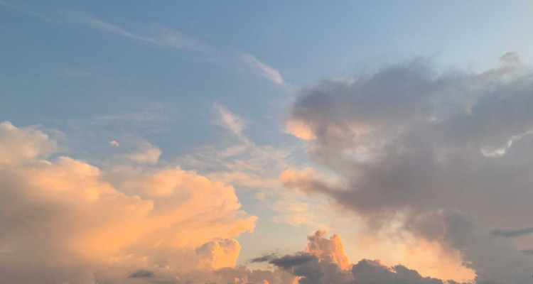 Appartement de 3.5 pièces neuf à louer à VercorinAppartement Situation dominanteAppartement Bella Lui n° 181 image 12