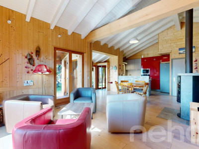 Chalet individuel cosy et à la vue imprenable image 1