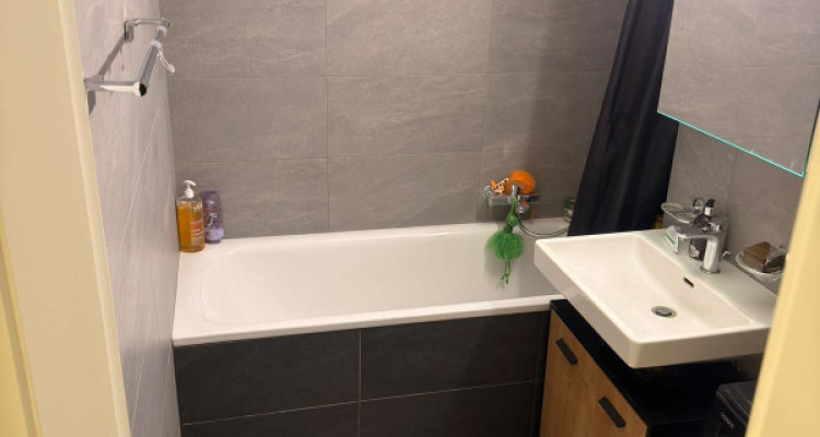 Très joli 4 pièces entièrement rénové en campagne Genevoise image 7