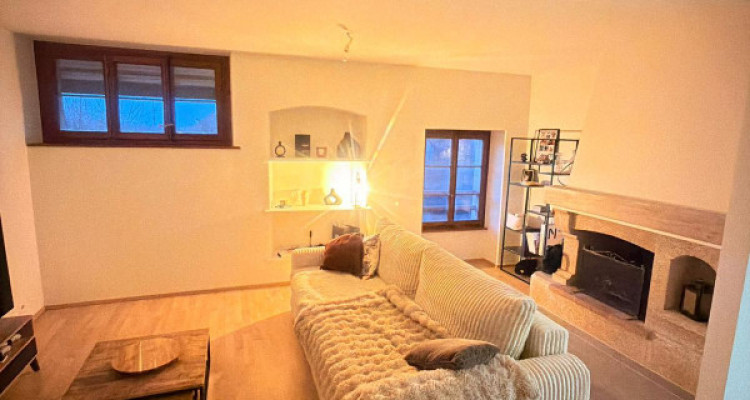 Très joli 4 pièces entièrement rénové en campagne Genevoise image 1