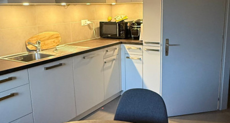 Très joli 4 pièces entièrement rénové en campagne Genevoise image 10