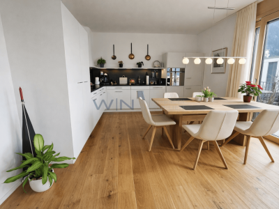 Attikawunder auf höchstem Niveau image 4