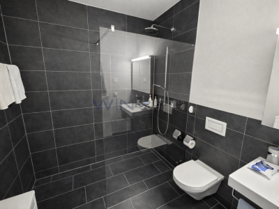 Attikawunder auf höchstem Niveau image 6