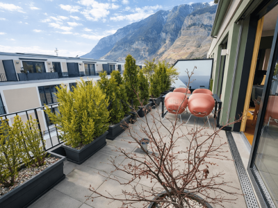 Attikawunder auf höchstem Niveau image 7