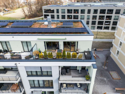 Attikawunder auf höchstem Niveau image 1