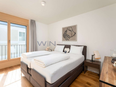 Attikawunder auf höchstem Niveau image 2