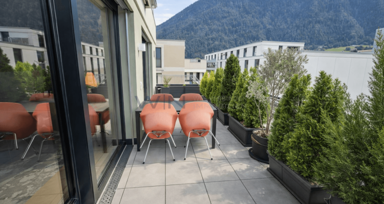 Attikawunder auf höchstem Niveau image 2