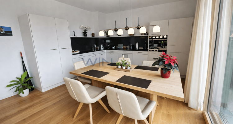 Attikawunder auf höchstem Niveau image 3