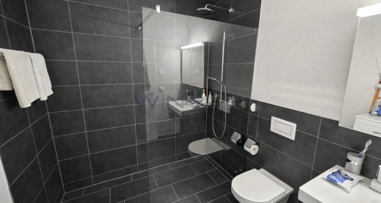 Attikawunder auf höchstem Niveau image 6