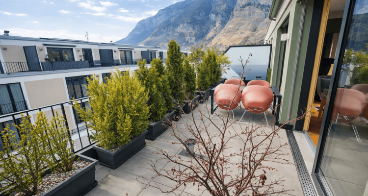 Attikawunder auf höchstem Niveau image 7