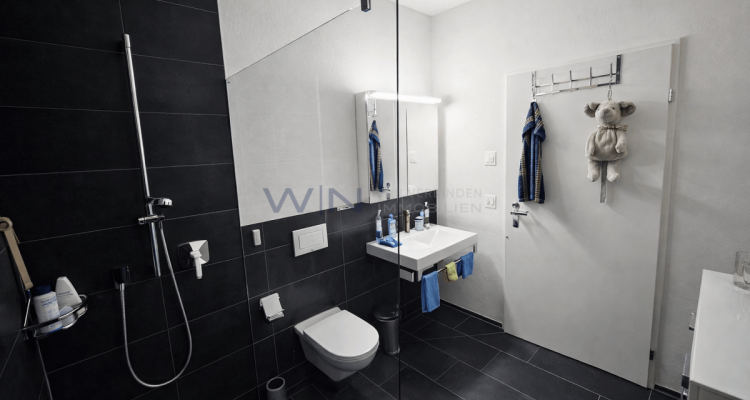 Attikawunder auf höchstem Niveau image 9