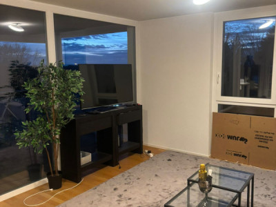 Spacieux appartement avec balcon - Lausanne  image 3