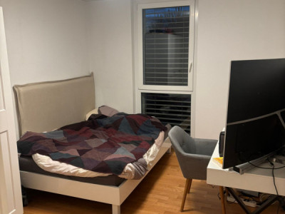 Spacieux appartement avec balcon - Lausanne  image 5