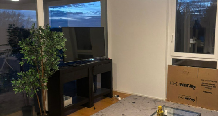 Spacieux appartement avec balcon - Lausanne  image 3