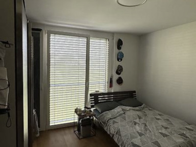 Appartement 3,5p au dernier étage  image 7