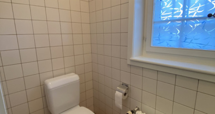 Surface commerciale denv. 100 m2 - Place de Chauchy 2, 1164 Buchillon image 9