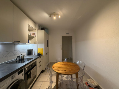 Appartement 2 pièces avec grande terrasse - Versoix image 1