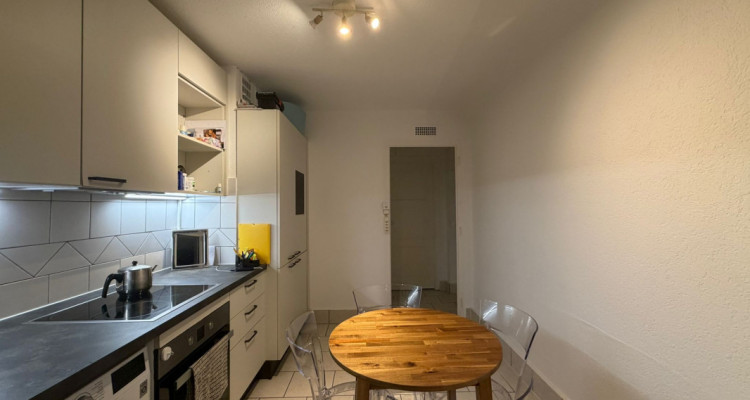 Appartement 2 pièces avec grande terrasse - Versoix image 1