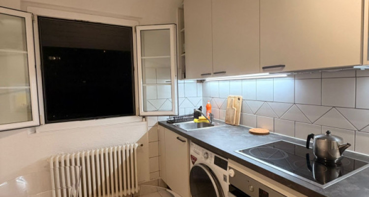 Appartement 2 pièces avec grande terrasse - Versoix image 2