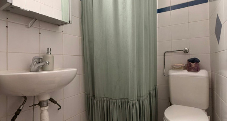 Appartement 2 pièces avec grande terrasse - Versoix image 5