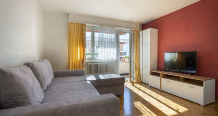 Au bord du lac - Appartement remis à neuf en exclusivité image 5