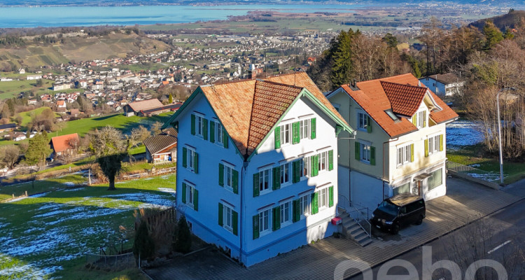 Wohnen mit Seesicht vielseitige Liegenschaft in Wolfhalden image 1