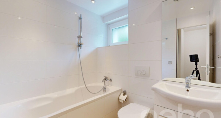 Appartement rénové de 3,5 pièces avec grande terrasse privée image 8