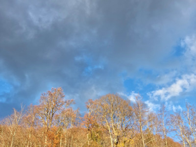 Agréable 3,5 pièces avec Terrasse de 25 m2 , Saint-Cergue Centre image 11