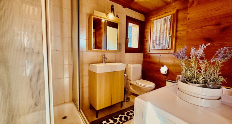 Votre petit nid damour meublé avec vue panoramique sur les Alpes image 5